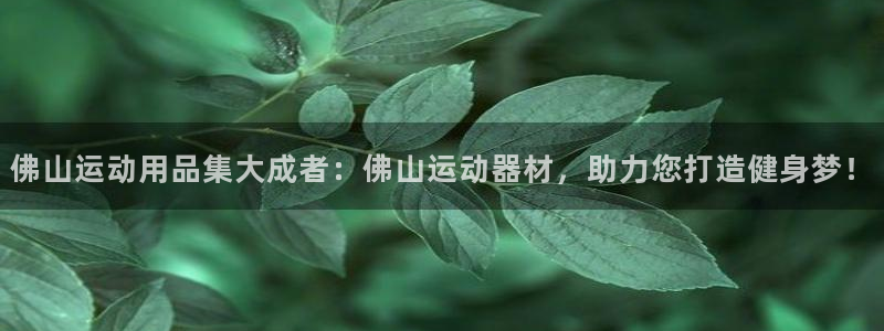 tp官方正版app集团简介