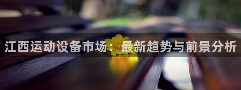 tp官方正版app娱乐平台：江西运动设备市场：最新趋势与前景