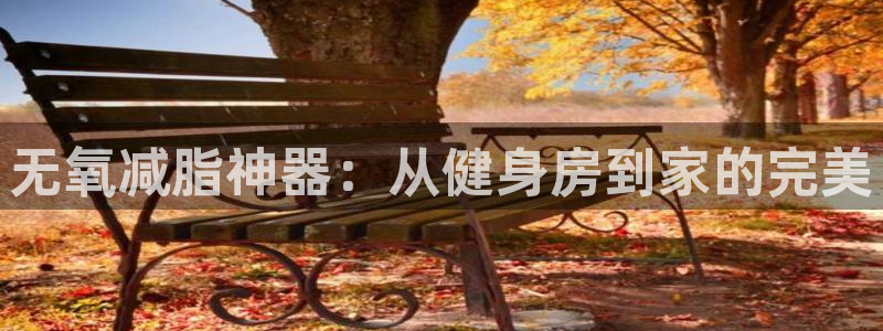 tpwallet官网下载招商：无氧减脂神器：从健身房到家的完