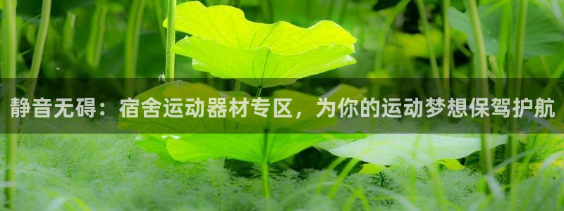 tpwallet官网下载招商电话号码查询是多少：静音无碍：宿