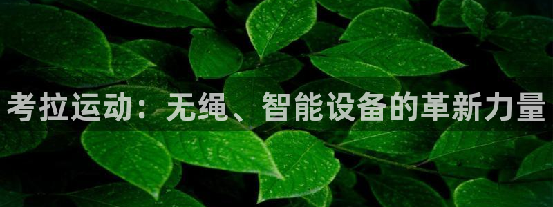 tpwallet官网下载招商：考拉运动：无绳、智能设备的革新