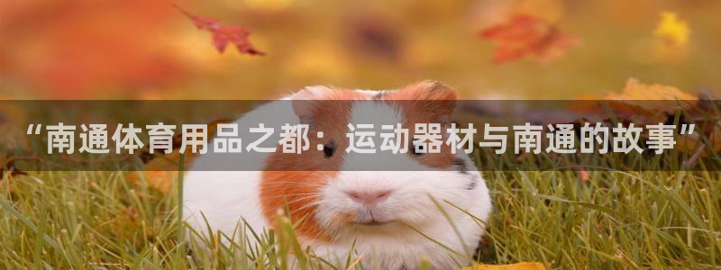 tpwallet官网下载招商电话号码查询是多少：“南