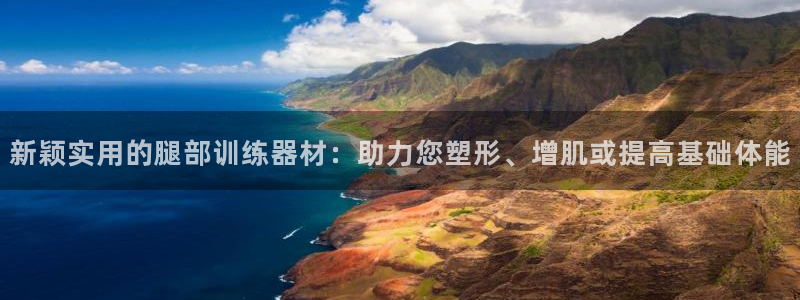 tp官方正版app集团官网首页：新颖实用的腿部训练器材：助力