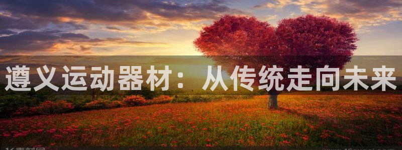 tp官方正版app集团官网首页网址：遵义运动器材：从传统走向