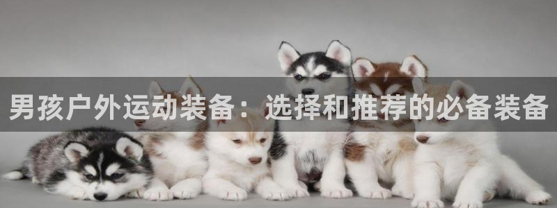 tp官方正版app集团简介