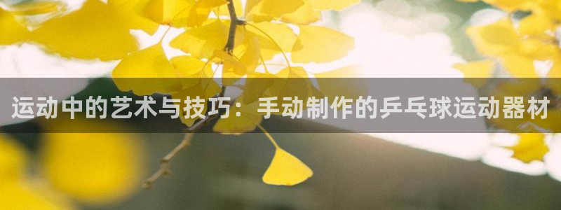 tp官方正版app娱乐40996：运动中的艺术与技巧：手动制