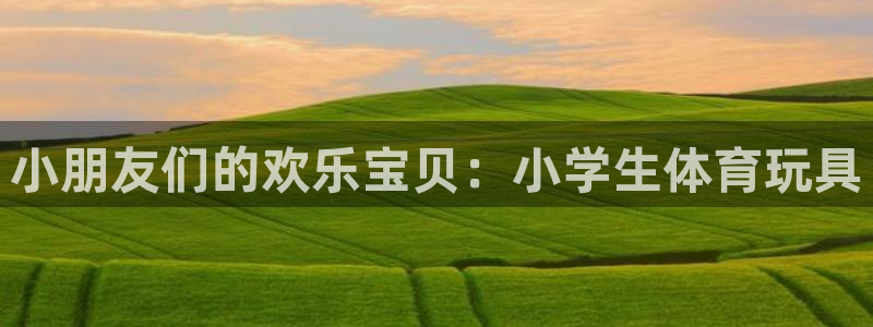ug环球官网：小朋友们的欢乐宝贝：小学生体育玩具