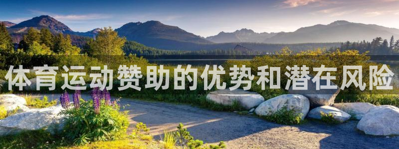 ug环球官网注册：体育运动赞助的优势和潜在风险