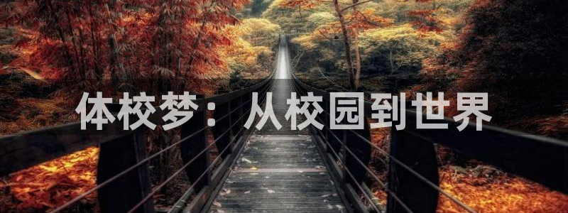 ug环球官网：体校梦：从校园到世界