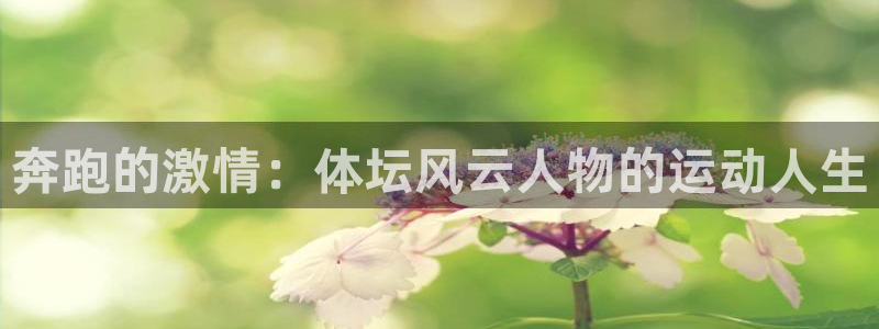 ug环球官网注册：奔跑的激情：体坛风云人物的运动人生
