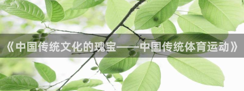 菲律宾ug环球官网：《中国传统文化的瑰宝——中国传统体育运动》
