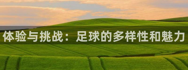ug环球官网注册：体验与挑战：足球的多样性和魅力