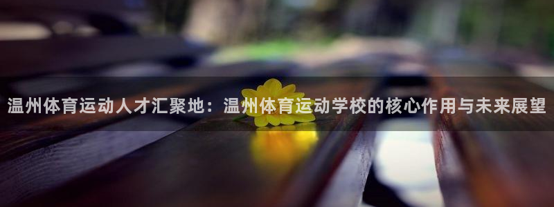 ug环球官网注册：温州体育运动人才汇聚地：温州体育运动学校的核心作用与未来展望