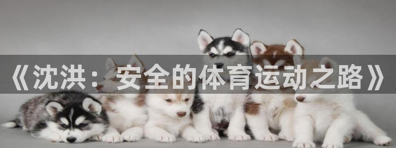ug环球官网登录入口：《沈洪：安全的体育运动之路》