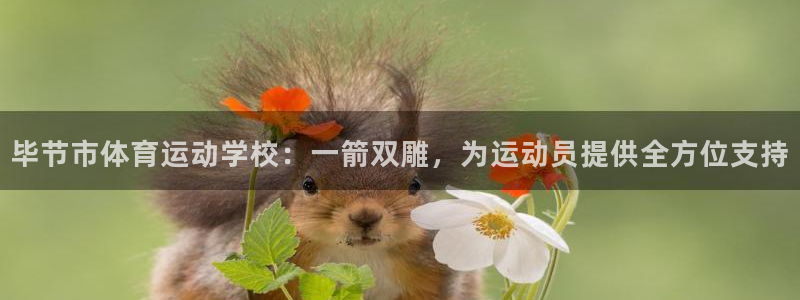 ug环球官网登录入口：毕节市体育运动学校：一箭双雕，为运动员提供全方位支持