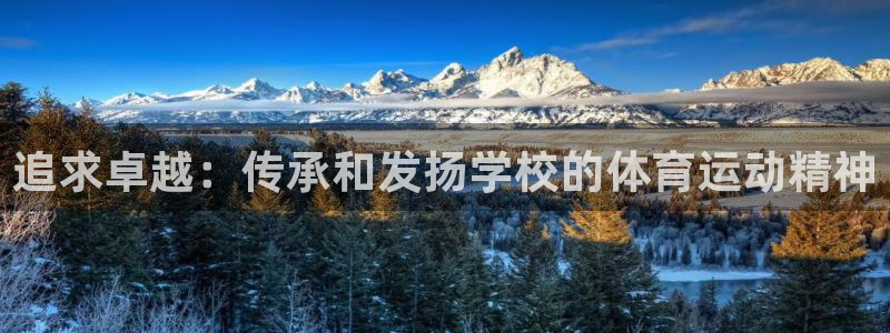 ug环球官网登录入口：追求卓越：传承和发扬学校的体育运动精神