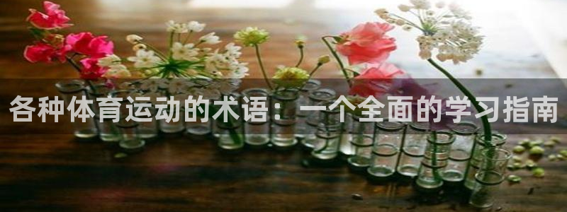 ug环球官网登录入口：各种体育运动的术语：一个全面的学习指南